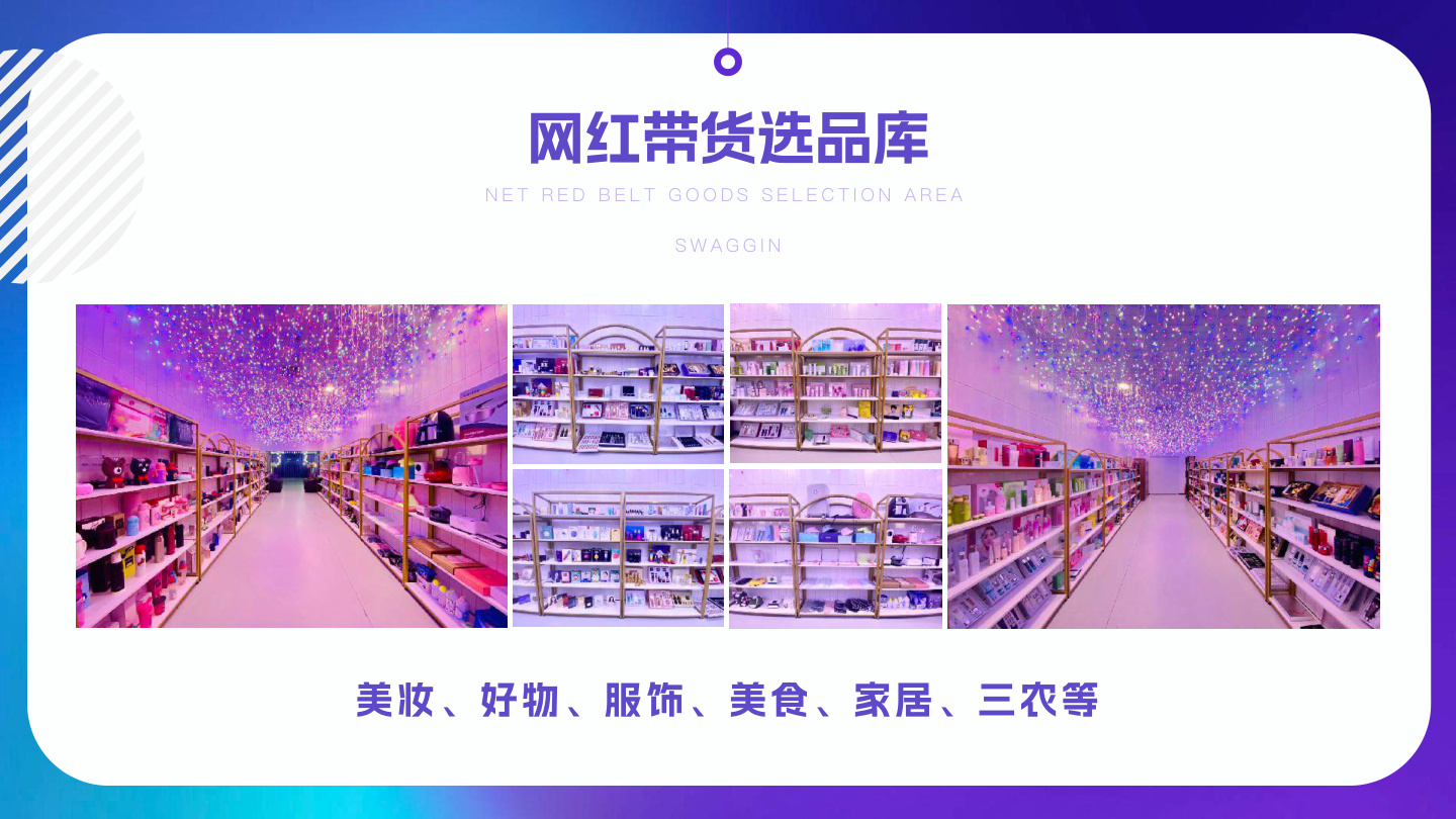 网红带货选品库